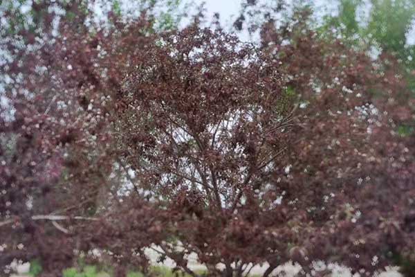 朝阳社会工作者培训机构哪家好？费用多少钱？