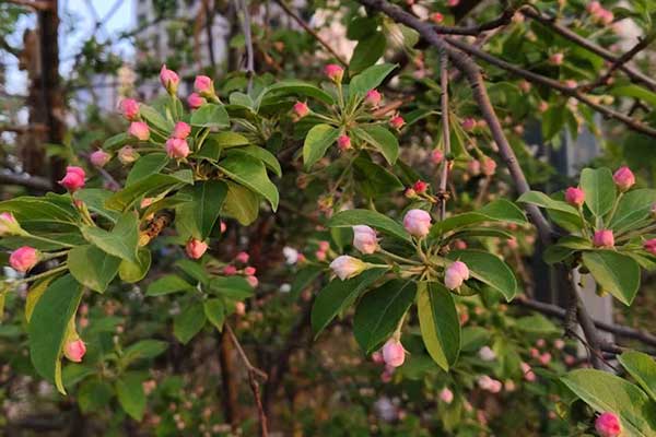 聊城社会工作者培训机构哪家好？费用多少钱？