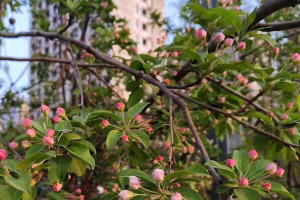 滨州社会工作者培训机构哪家好？费用多少钱？