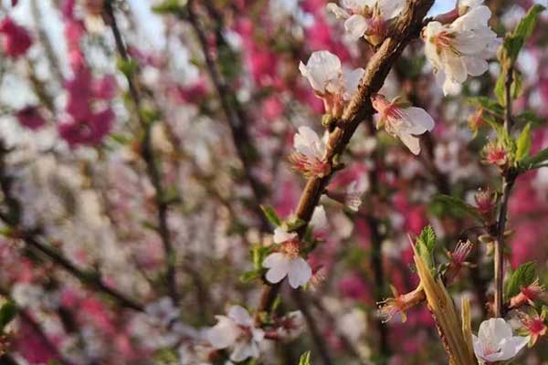 枣庄社会工作者培训机构哪家好？费用多少钱？