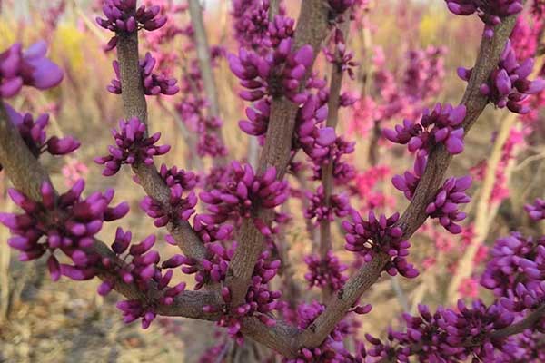 威海社会工作者培训机构哪家好？费用多少钱？