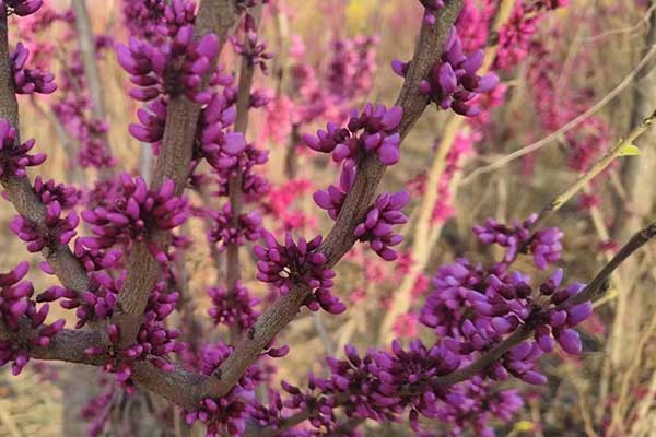 菏泽社会工作者培训机构哪家好？费用多少钱？