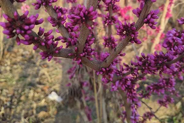 日照社会工作者培训机构哪家好？费用多少钱？