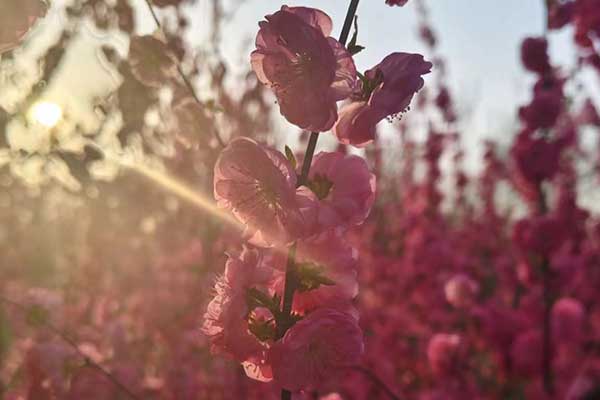 荆州社会工作者培训机构哪家好？费用多少钱？