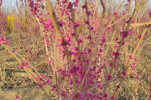 南充社会工作者培训机构哪家好？费用多少钱？