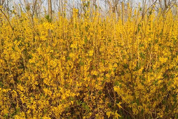 宜宾社会工作者培训机构哪家好？费用多少钱？