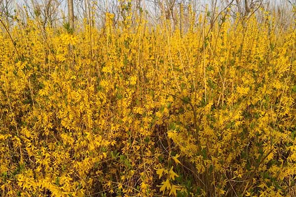 十堰社会工作者培训机构哪家好？费用多少钱？