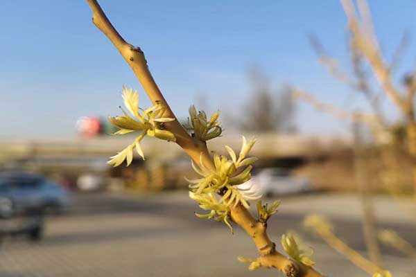 荆门社会工作者培训机构哪家好？费用多少钱？