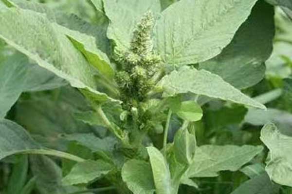 昭通社会工作者培训机构哪家好？费用多少钱？