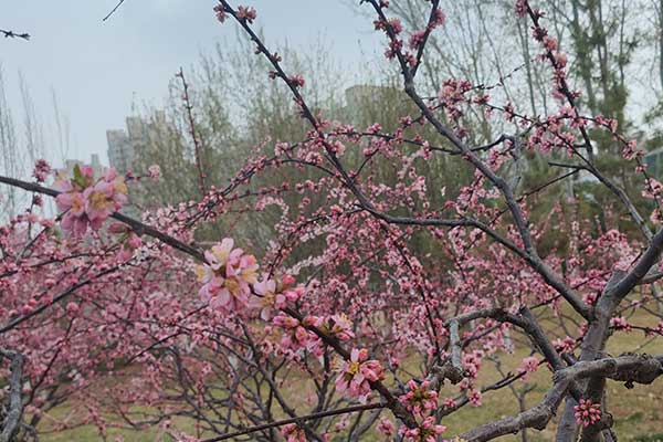 玉溪社会工作者培训机构哪家好？费用多少钱？