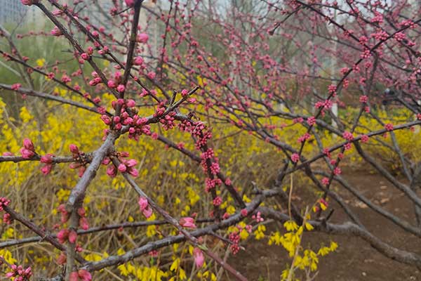 红河社会工作者培训机构哪家好？费用多少钱？