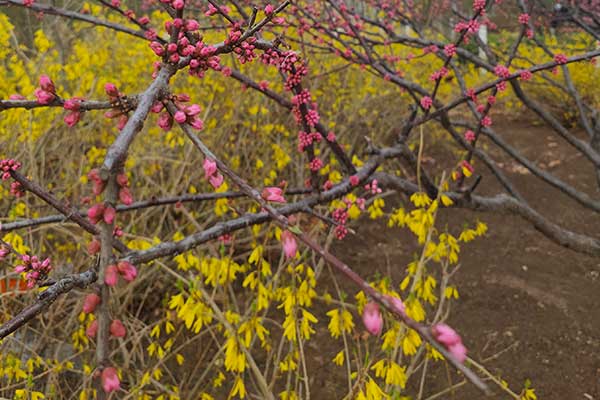 乐山社会工作者培训机构哪家好？费用多少钱？