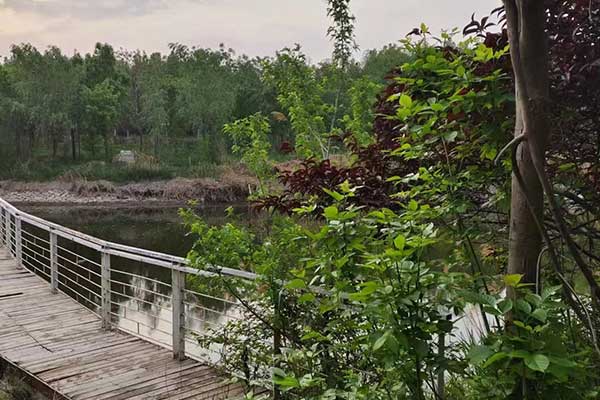 大同考社会工作师需要什么条件 - 考试时间