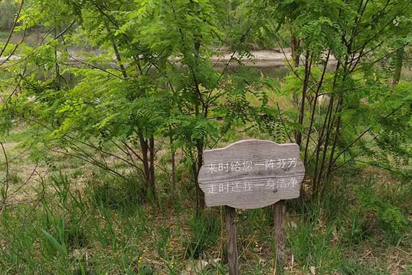 延吉考社会工作师需要什么条件 - 考试时间