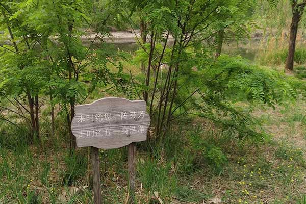 哈尔滨考社会工作师需要什么条件 - 考试时间