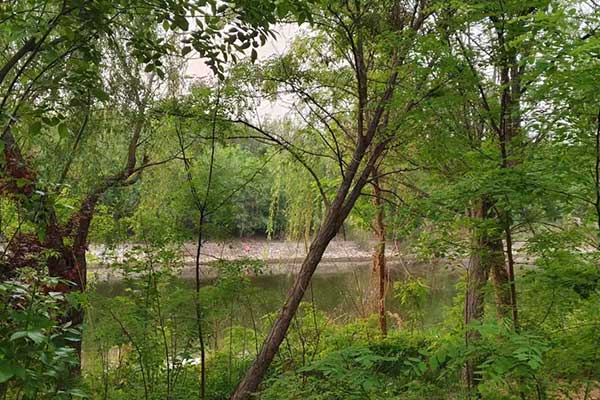 四平考社会工作师需要什么条件 - 考试时间