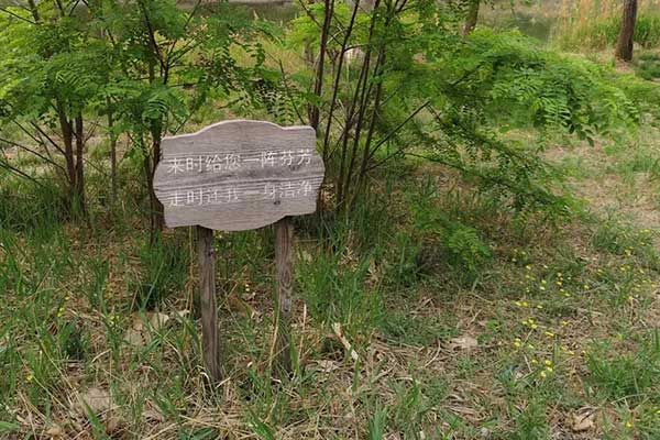 大庆考社会工作师需要什么条件 - 考试时间