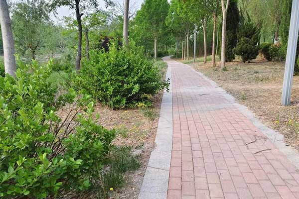 长春考社会工作师需要什么条件 - 考试时间