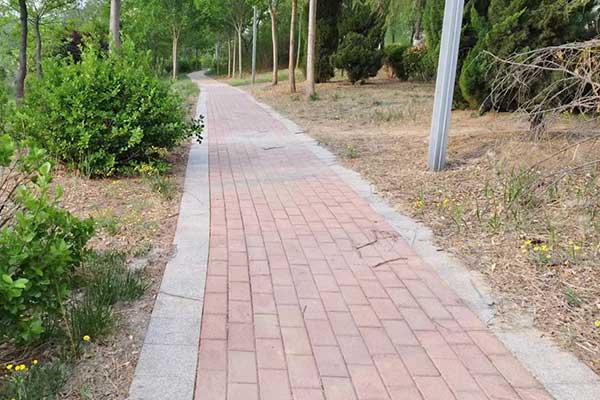 吉林考社会工作师需要什么条件 - 考试时间