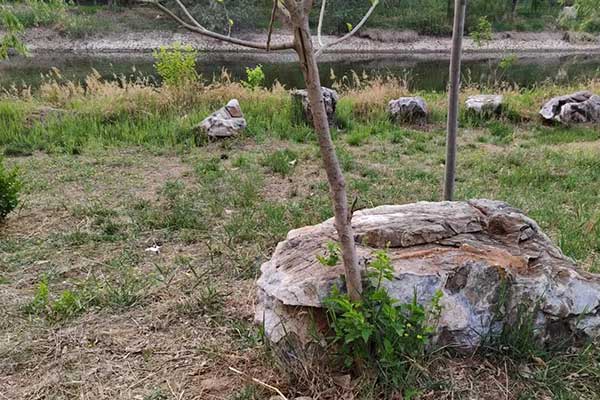 丹东考社会工作师需要什么条件 - 考试时间