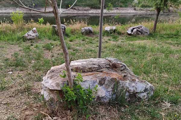 营口考社会工作师需要什么条件 - 考试时间