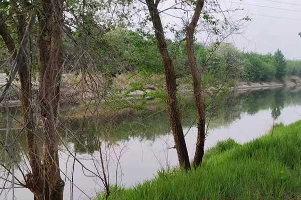 盘锦考社会工作师需要什么条件 - 考试时间