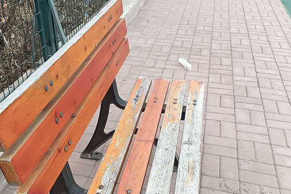 聊城考社会工作师需要什么条件 - 考试时间