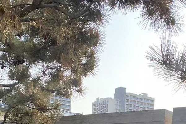 镇江考社会工作师需要什么条件 - 考试时间