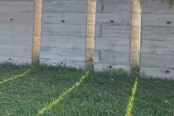 张家港考社会工作师需要什么条件 - 考试时间