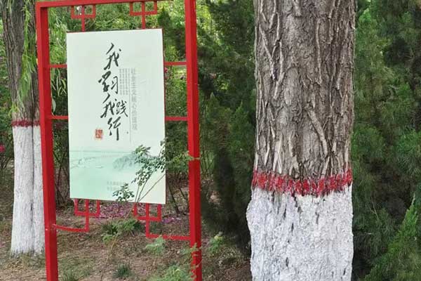 武汉考社会工作师需要什么条件 - 考试时间