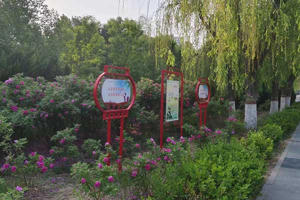 银川考社会工作师需要什么条件 - 考试时间