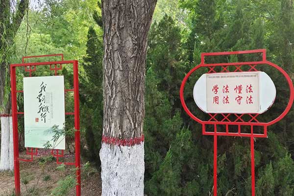 社会工作师可以跨级考试吗