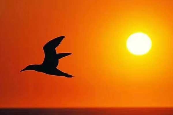 江苏2024社会工作者考试时间 - 考试科目