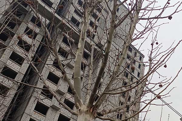 安阳一建培训机构哪家通过率高？多少钱？