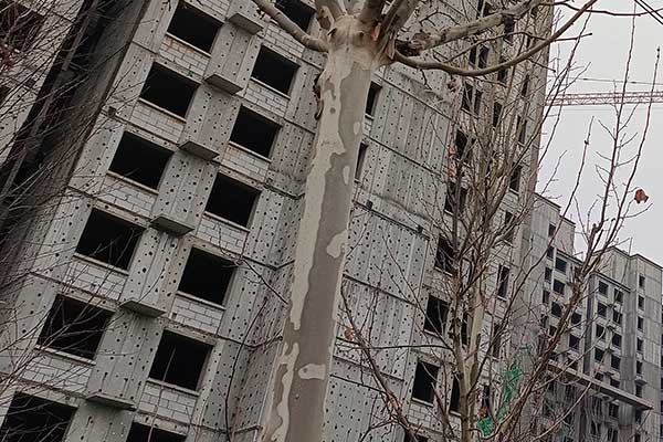 商丘一建培训机构哪家通过率高？多少钱？