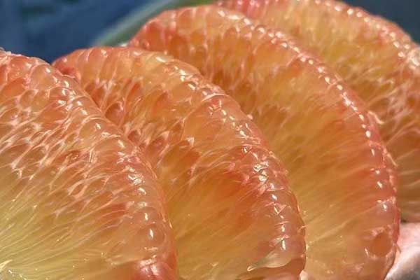 莆田公共营养师培训学校哪家好 - 费用多少钱