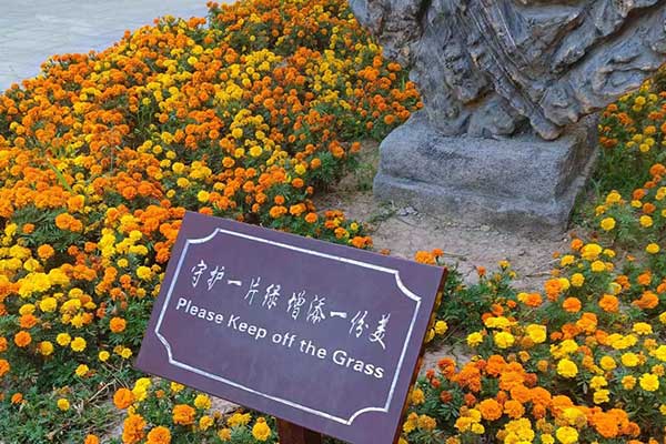 未标题-1.jpg