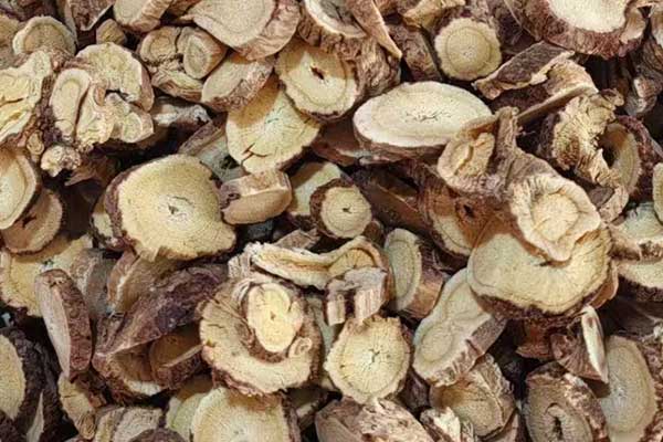 大理中医师承培训机构排名前十