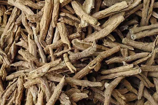 海南中医师承报名条件 - 最新政策细则