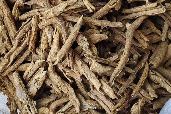 广西中医师承报名条件 - 最新政策细则