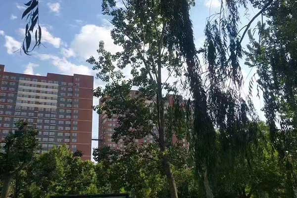 保定学幼师的中专学校