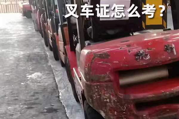 东光叉车证在哪里考？需要多少钱？