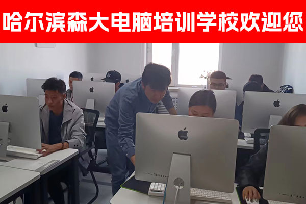 哈尔滨森大电脑培训 - Java开发培训班