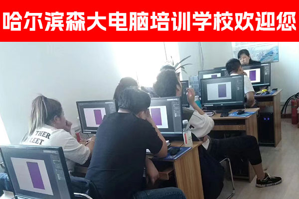 哈尔滨森大电脑培训 - Python编程就业班