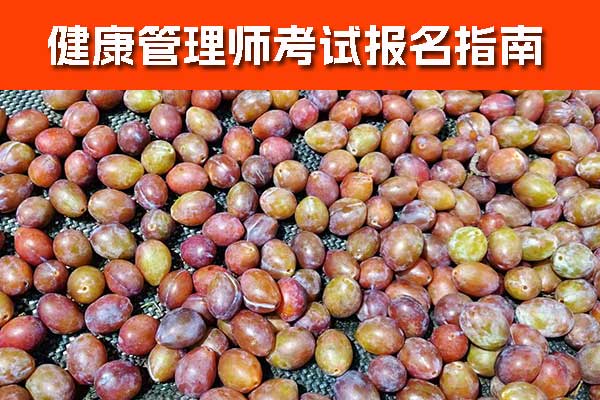 日照健康管理师证怎么考多少钱