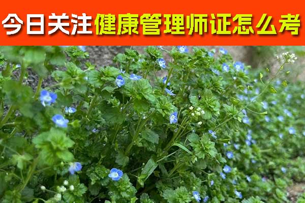 未标题-1-恢复的-恢复的.jpg