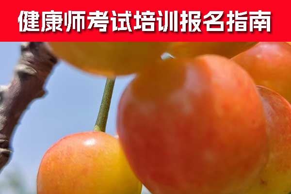 厦门健康管理师证怎么考？怎么报名？