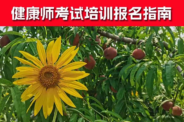 宁德健康管理师证怎么考？怎么报名？