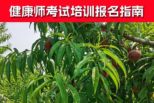 三明健康管理师证怎么考取？费用要多少？