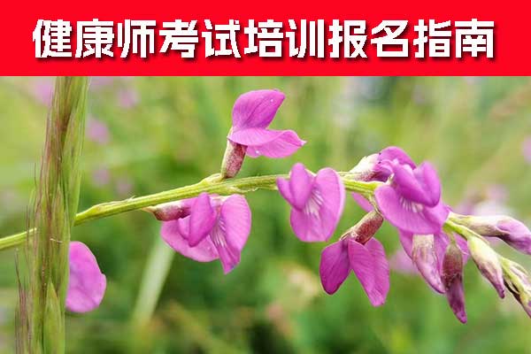 泉州健康管理师证怎么考取？费用要多少？